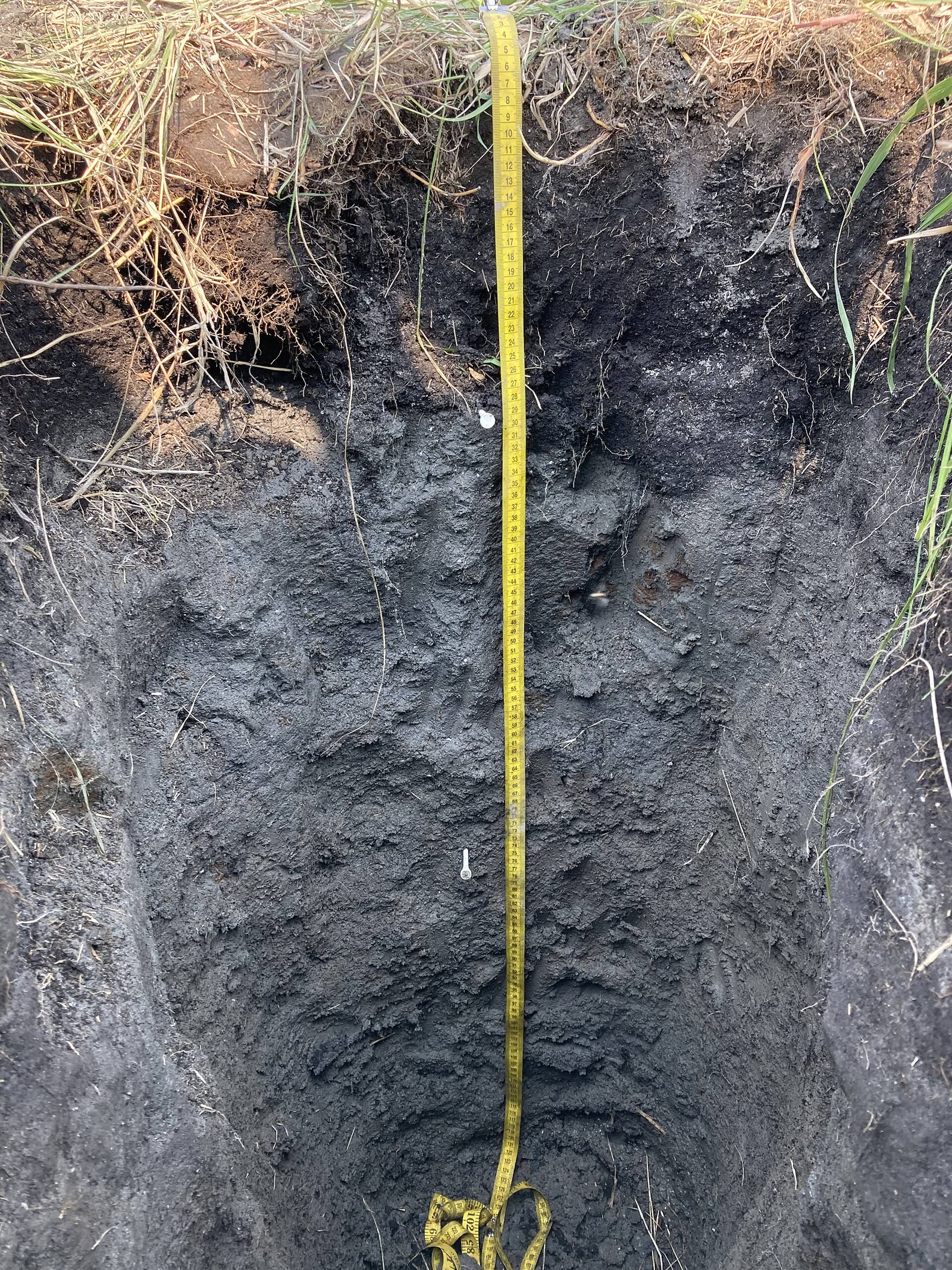 Profil de sol sur 125 cm — la succession des horizons traduit l'activité biologique et le lessivage.
