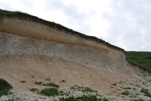 Profil de sol calcaire peu épais : la roche mère affleure, la réserve utile est faible.
