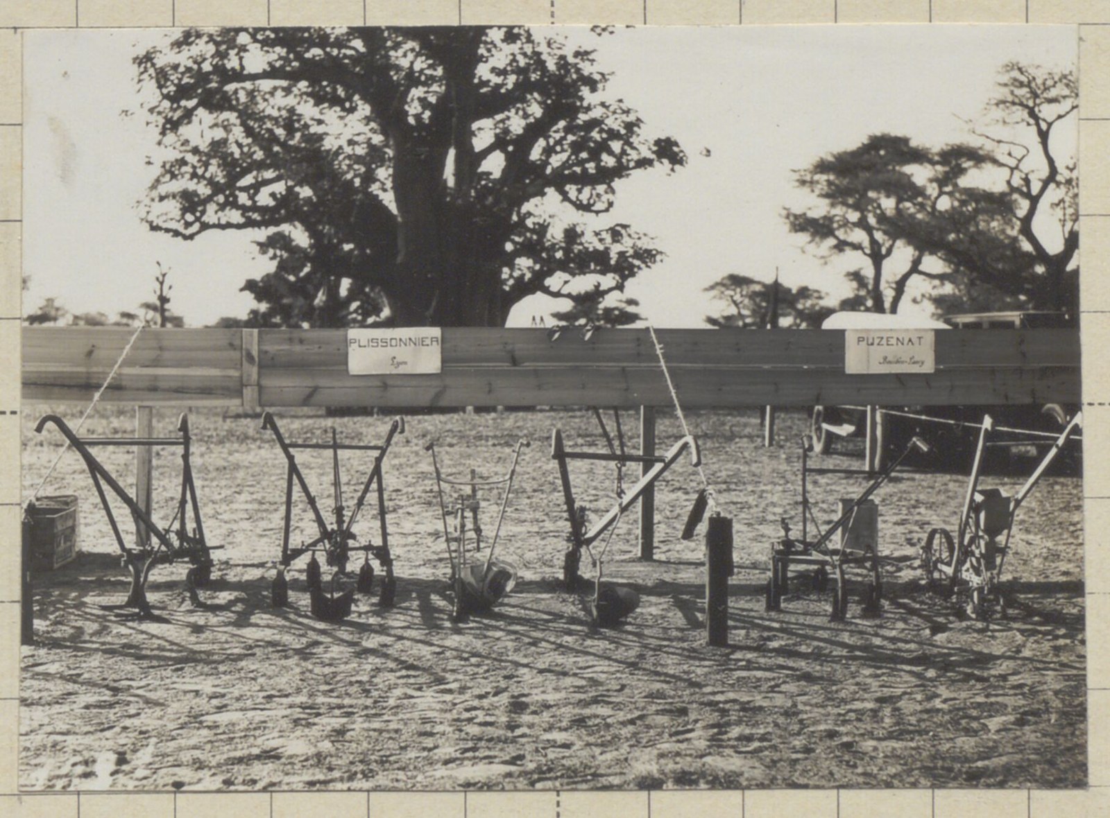 Alignement d'instruments agricoles attelés posés au sol devant une palissade portant deux panneaux, « Plissonnier, Lyon » et « Puzenat, Bourbon-Lancy », sous un baobab
