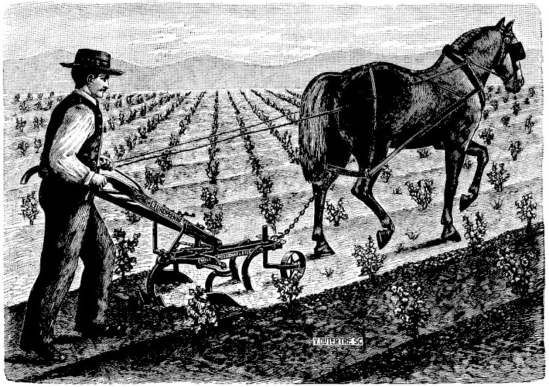 Gravure&nbsp;: un homme en chapeau conduit par les mancherons une houe attelée à un cheval, dans un champ de jeunes plants en lignes&nbsp;; la houe porte trois dents recourbées et une petite roue à l'avant, reliée au cheval par une chaîne